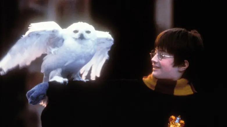 Daniel Radcliffe in the film adaptation of "Harry Potter and the Sorcerer's Ston