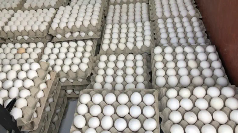 ביצים ללא פיקוח