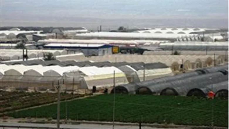 Jordan Valley Greenhouses