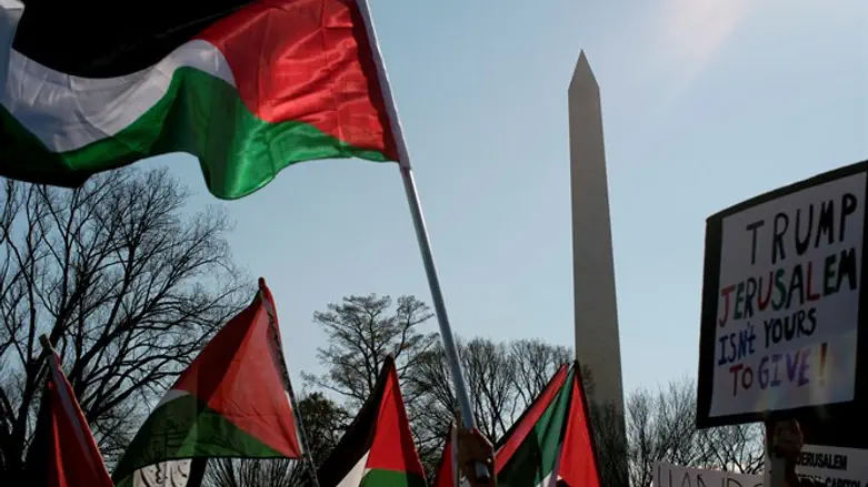 Антиизраильский протест в Вашингтоне. Иллюстрация