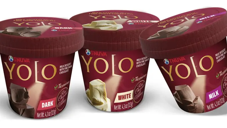 YOLO three flavors