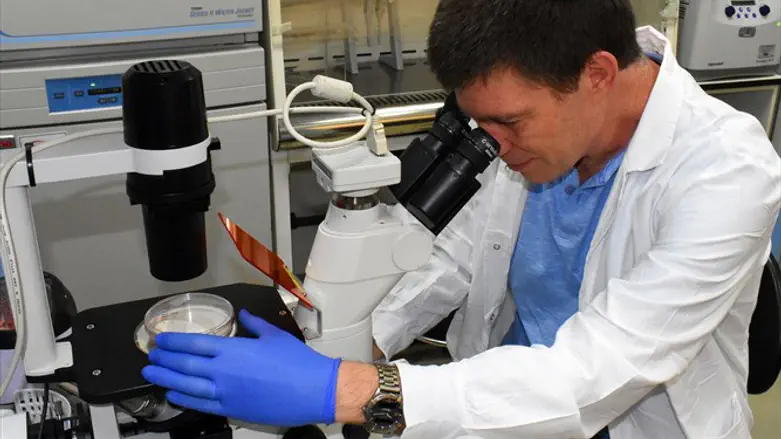 Dr. Ravid Straussman inspects images of bacteria in a tumor 