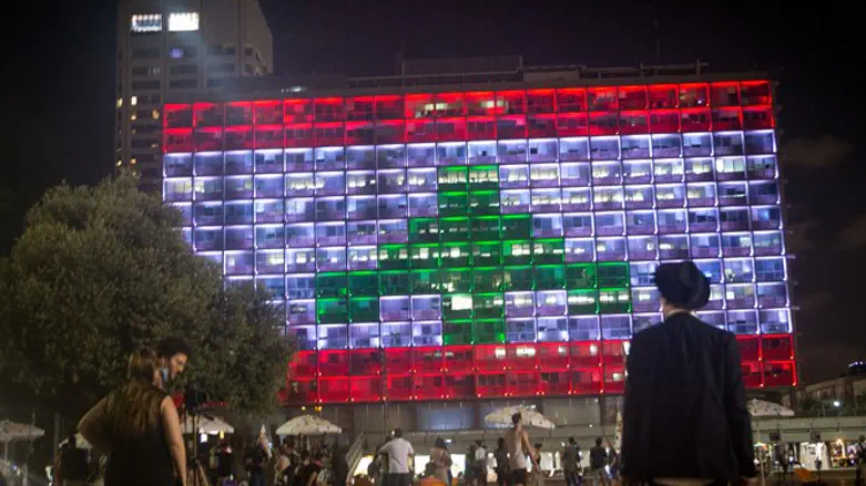 בנין עיריית תל אביב מואר בצבעי דגל לבנון