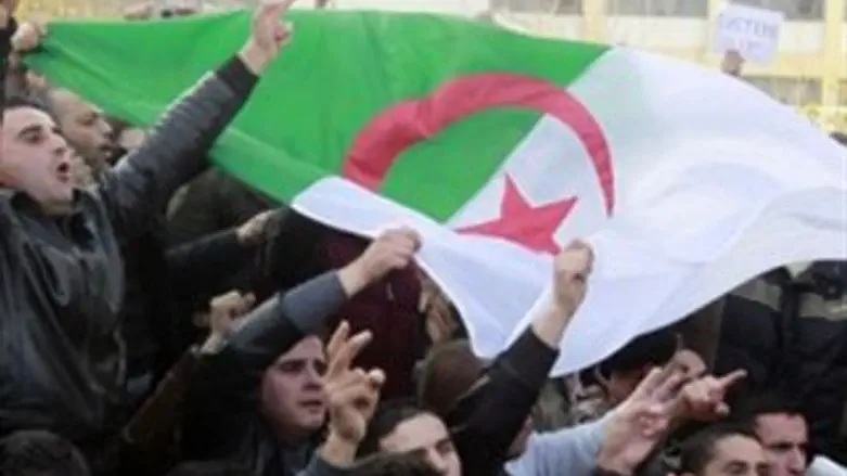 הפגנות באלג'יר
