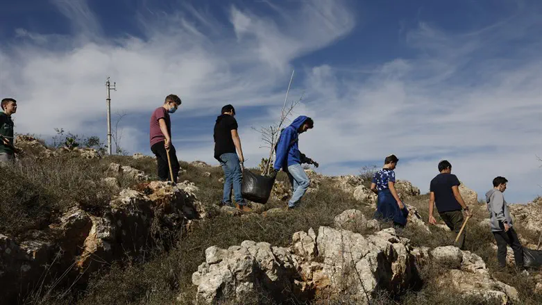 plant a tree in israel for bar mitzvah