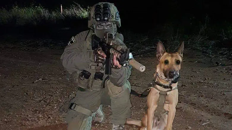 Yamam dog killed in Shechem trapped terror victim's murderer