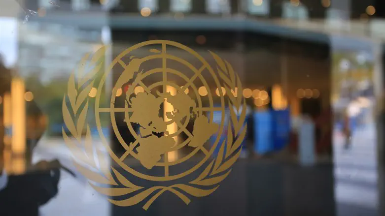 Организация Объединенных Наций. Иллюстрация