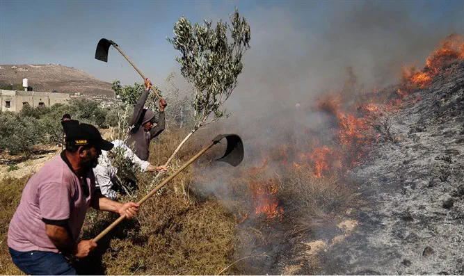 Арабские фермеры тушат пожар близ Кфар-Бурин