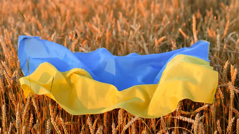 Флаг Украины на пшеничном поле