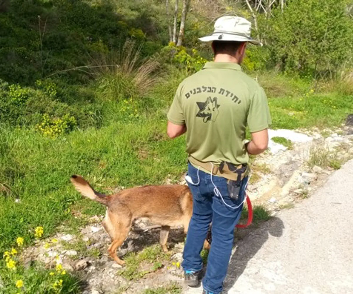 Israel Dog Unit volunteer during search operations