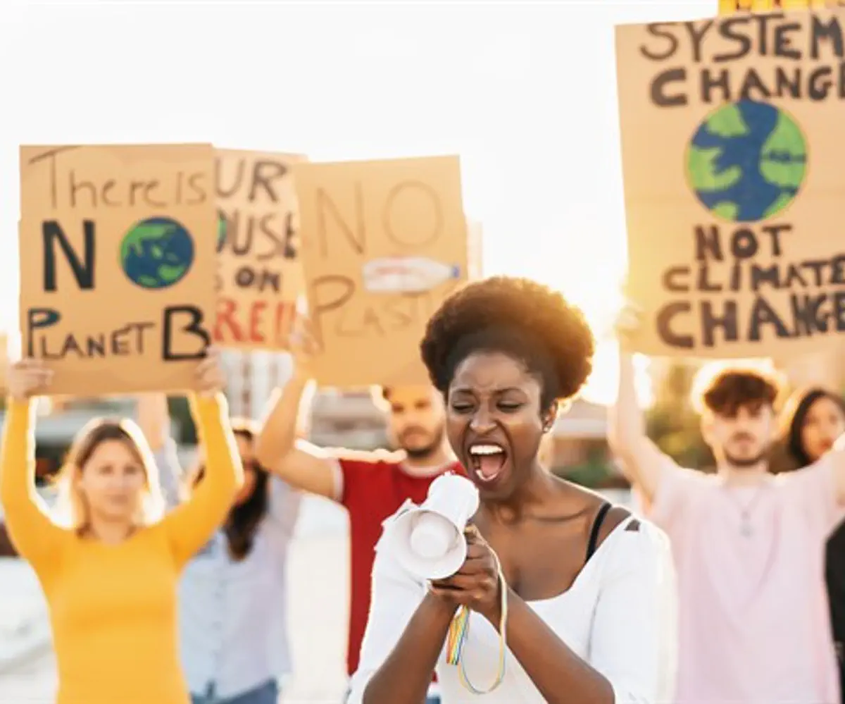 Climate change protest (illustrative)