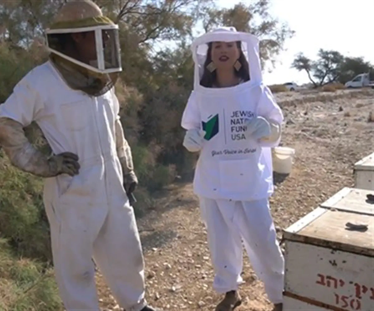 A beekeeper in Israel’s Arava Desert explains why Israel's bee colonies are flou