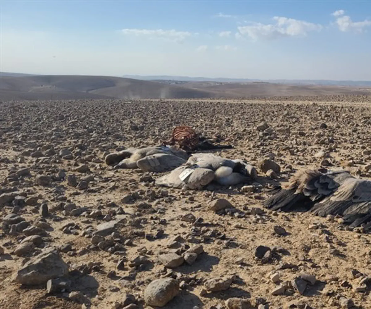 Las mujeres muertas descubiertas en el desierto de Judea