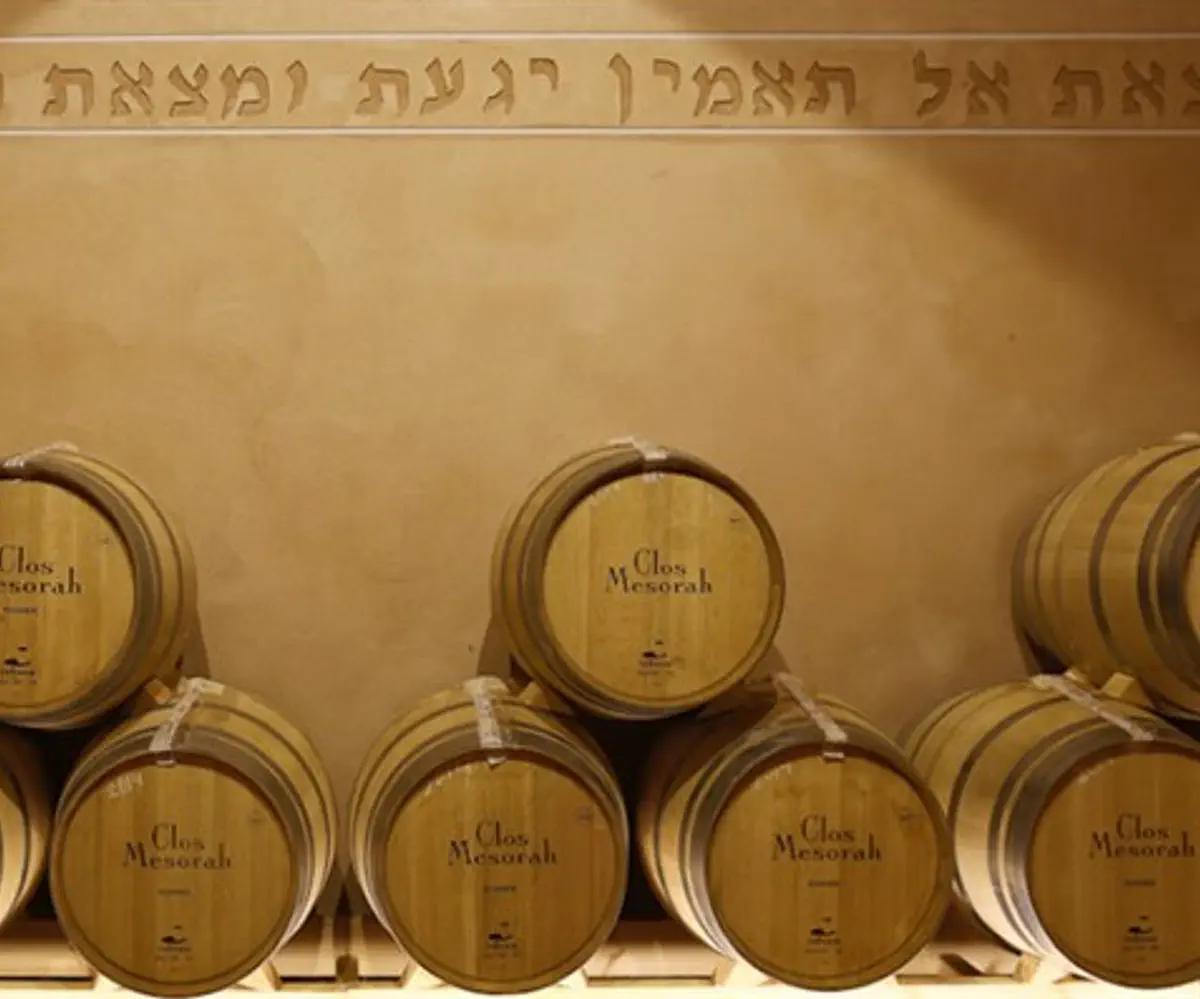 Barrels of Elvi Wines' Clos Menorah vintag