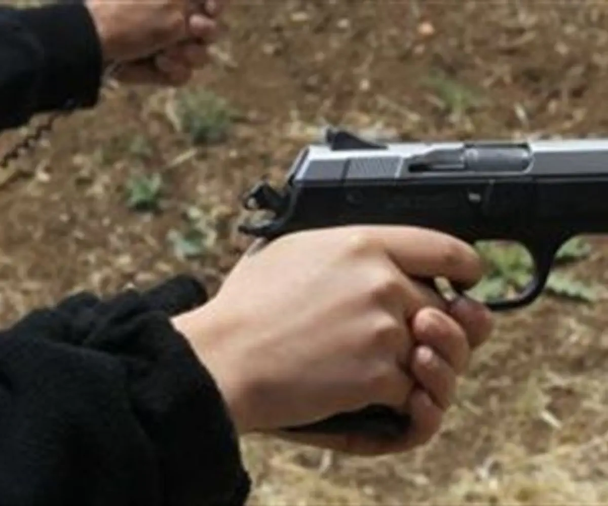 Handgun (illustrative)