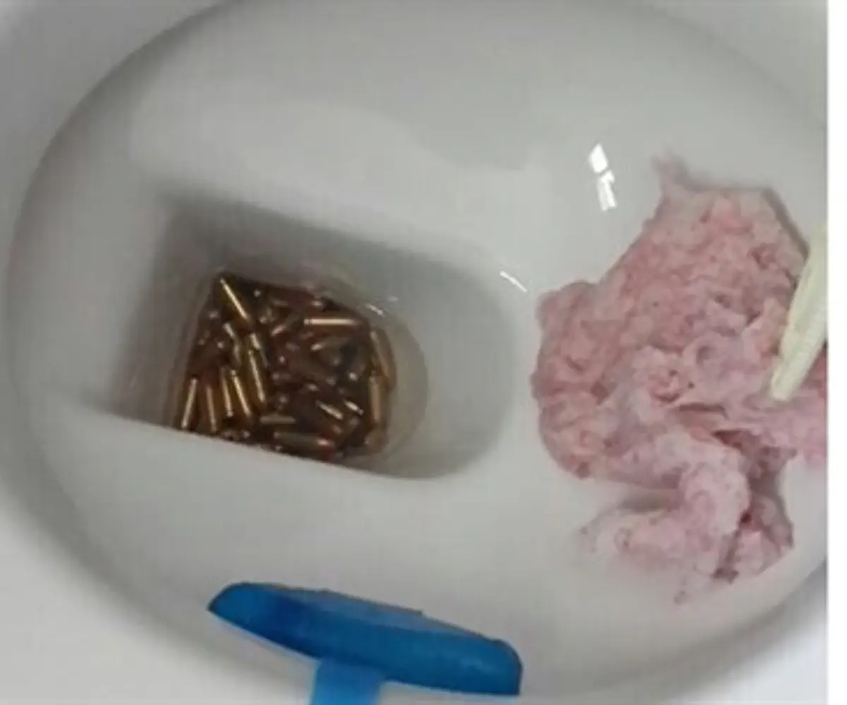 Pistol ammo in the toilet