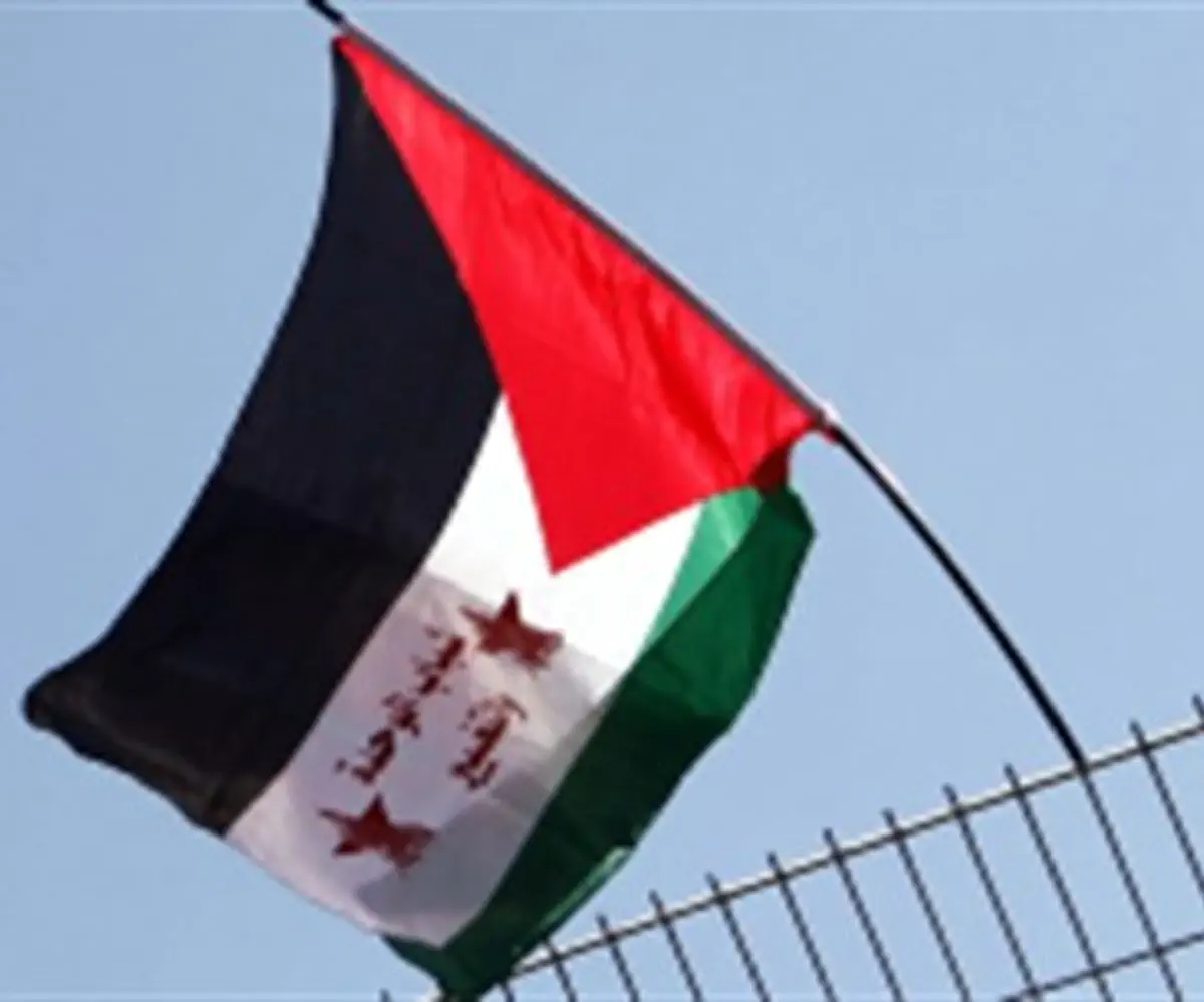 PLO Flag (file)