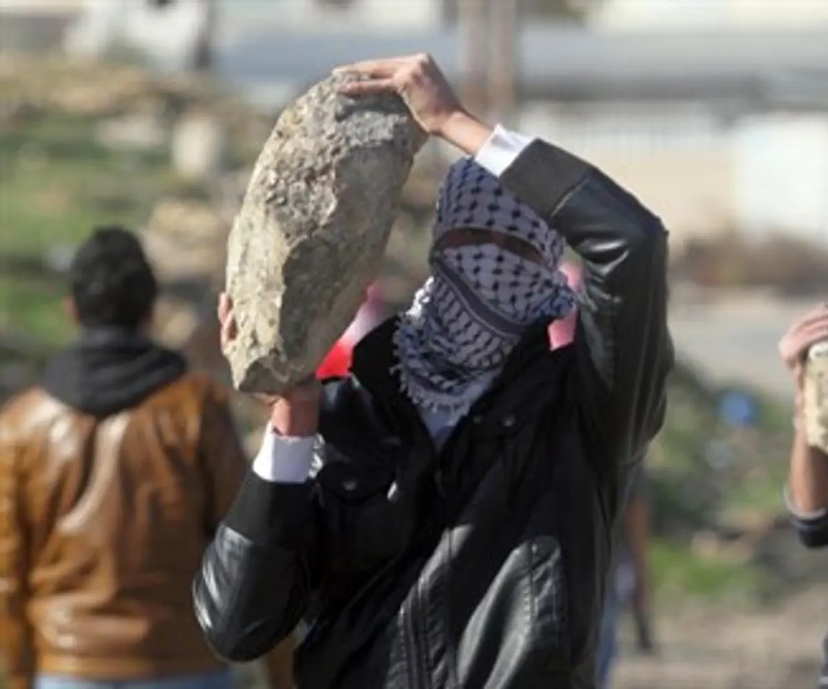 Palestinian Arabs threaten IDF with stones, January 2014