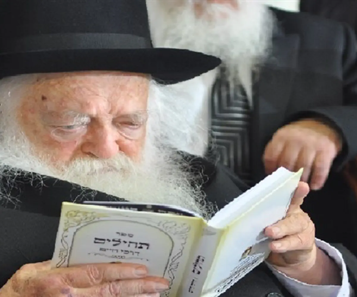 Chaim Kanievsky and HaRav Yaakov Eidelstein