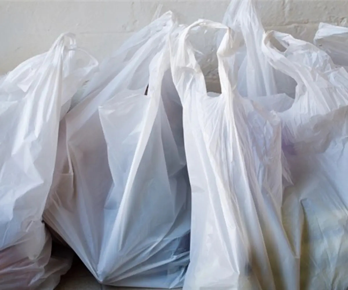 Plastic shopping bags (illustrative)