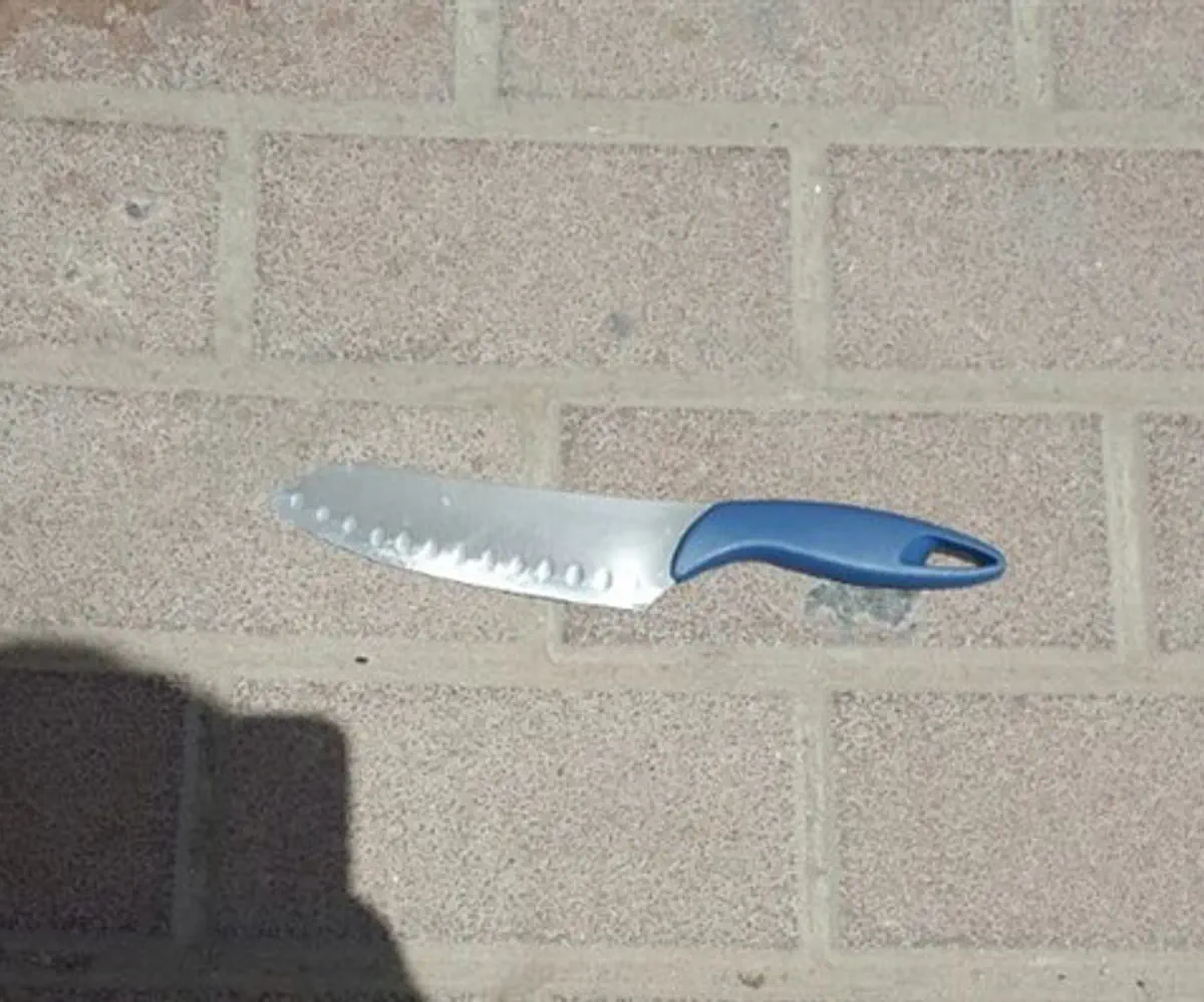 הסכין ששלף המחבל, לעבר הבודקים