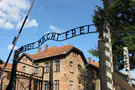 Tourist detained for giving Nazi salute at Auschwitz
