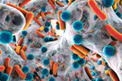 Breakthrough in antibiotic safety thanks to bionic technology