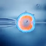 'אין כל בעיה הלכתית בשימור פוריות'