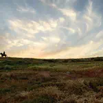 הארגון שנאבק בטרור החקלאי