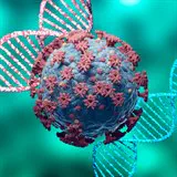 אפשר וצריך לחיות עם הקורונה