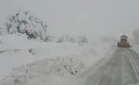 צפו: שלג כבד ברמת הגולן