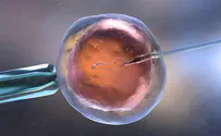 New study shows IVF less effective after coronavirus