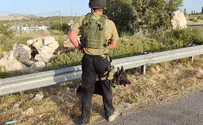 Action and reaction: The Israel Dog Unit's response to terror