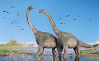 '92-96 mil-years-old:' Largest dinosaur unearthed in Australia