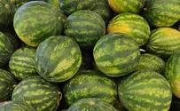 Border Police return over 150 stolen watermelons