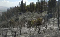 צפו: היום שאחרי השריפה בהרי נפתלי