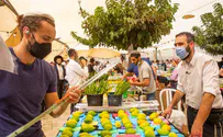 The Four Species and Sukkot: Holiday preparations in Jerusalem