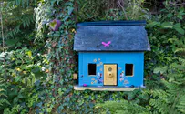 קומפקטי: הבתים הקטנים ביותר בעולם