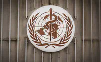 WHO calls emergency meeting over monkeypox outbreak