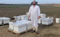 Haredi beekeeper named as 1 of 40 most promising agriculturists