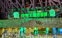 Gordon Chang: China may march on Taiwan after the Olympics
