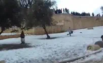 ערבים השליכו שלג על עולי הר הבית היהודים