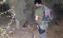 Israel Dog Unit saves man from winter storm