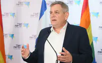 Meretz chief quits party leadership race