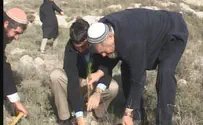 Minister decides: Tree-planting in Negev will continue