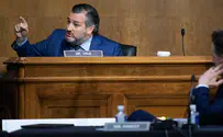 Ted Cruz to Jackson: 'Could I decide that I'm a woman?'
