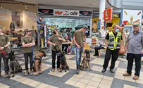 Israel Dog Unit prepares for emergency in Haifa region