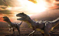 New find may be proof of dinosaurs' extinction