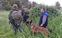 Israel Dog Unit issues emergency call-up of all dog handlers