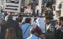 שוטר תקף באלימות מפגין בצעדת הדגלים